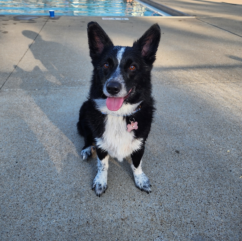 Meet your Posher, Ashley